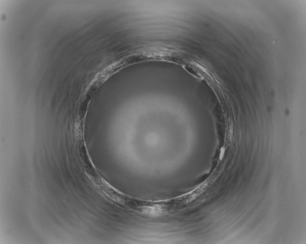 X0000087630411200705311333