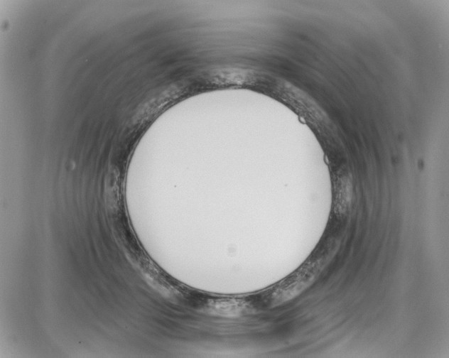 X0000087630414200705311333