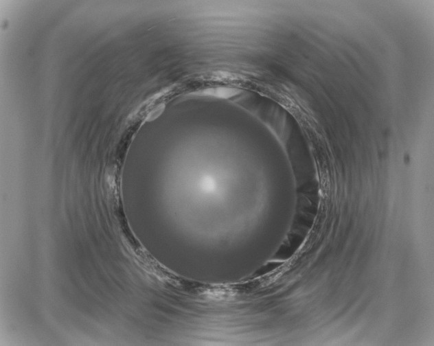 X0000087630415200705311333