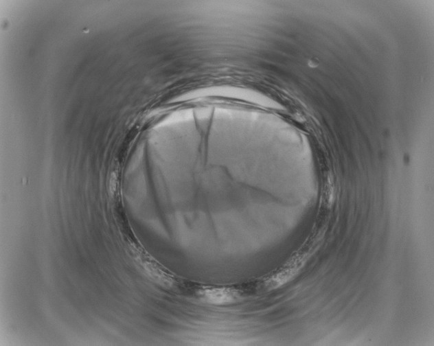 X0000087630417200705311333