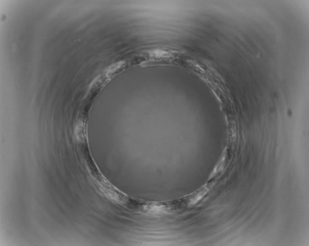 X0000087630419200705311333