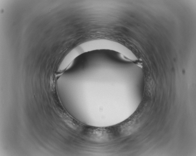 X0000087630420200705311333