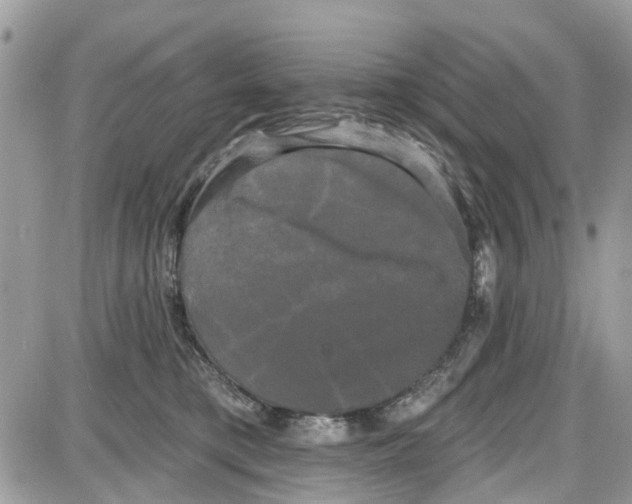 X0000087630421200705311333