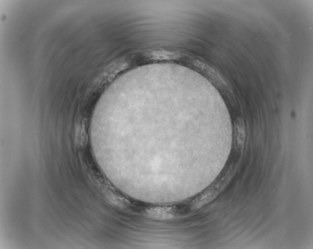 X0000087630422200705311333