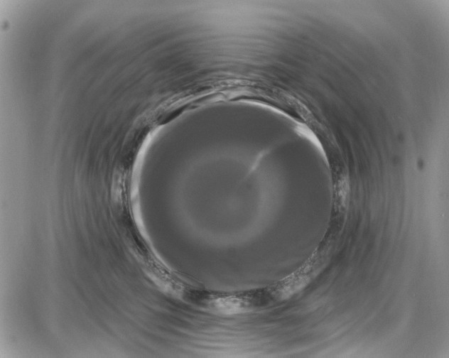 X0000087630423200705311333