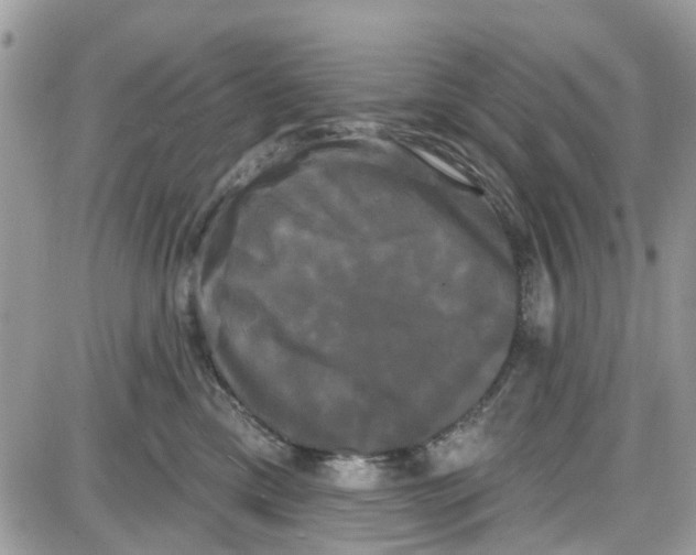 X0000087630425200705311333