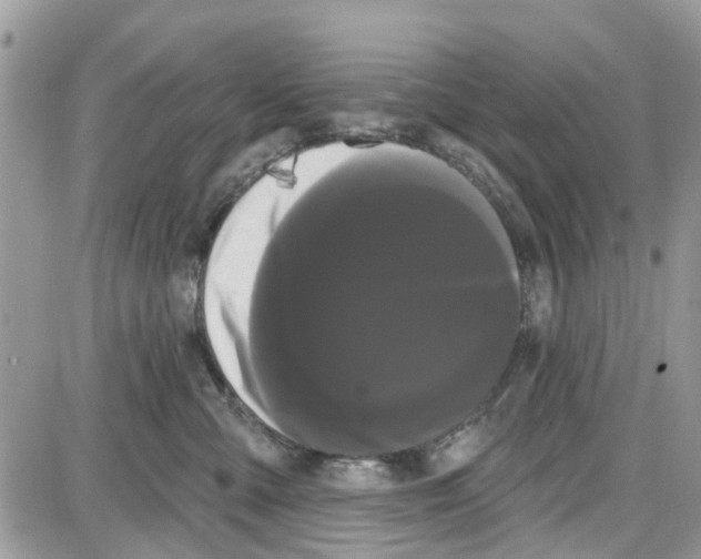 X0000087630427200705311333