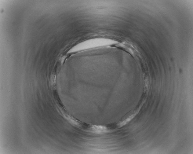 X0000087630429200705311333