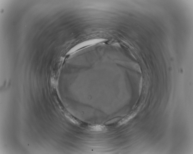 X0000087630432200705311333