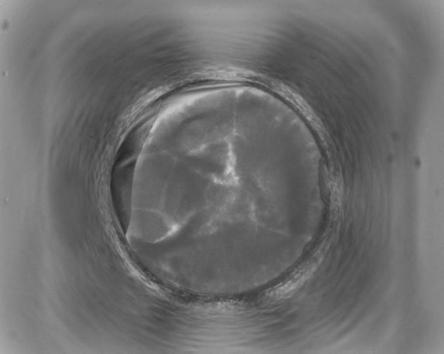 X0000087630433200705311332