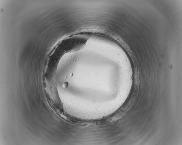 X0000087630434200705311332