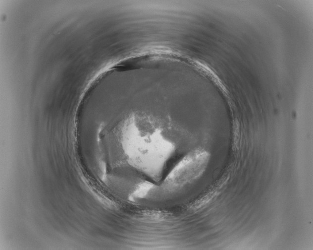 X0000087630439200705311332