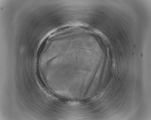 X0000087630440200705311332