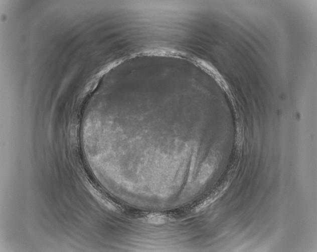 X0000087630441200705311332