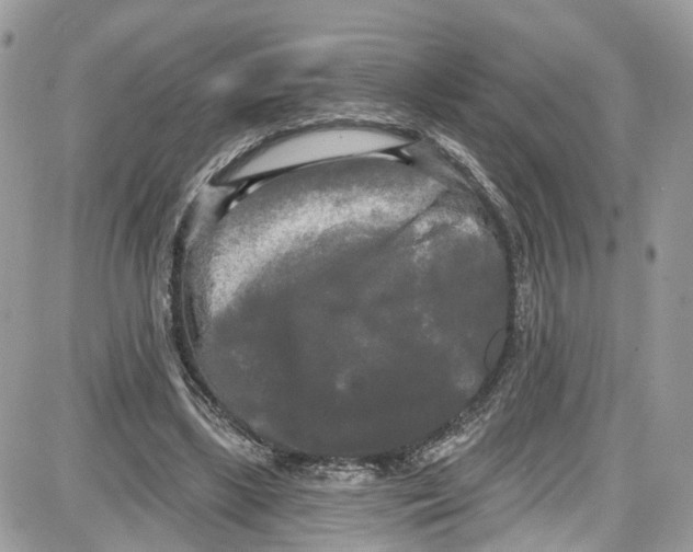 X0000087630443200705311332