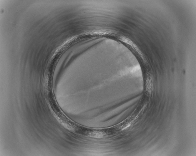 X0000087630444200705311332