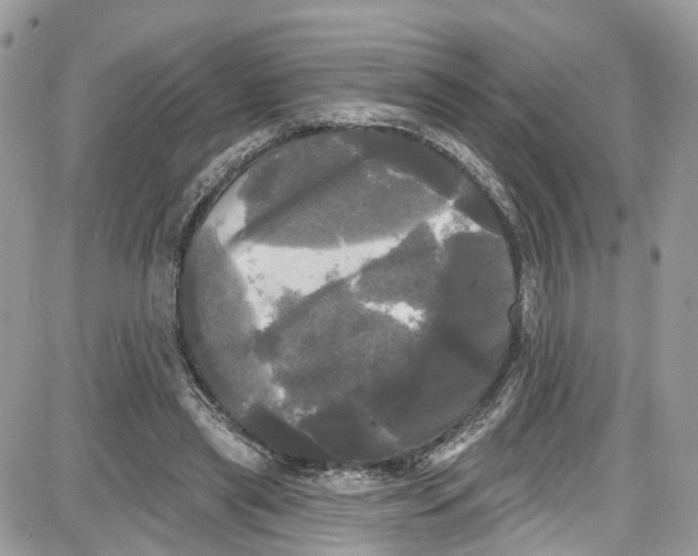 X0000087630445200705311333