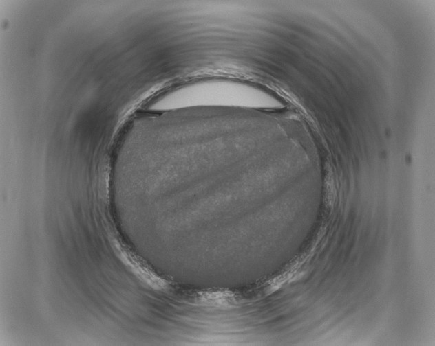 X0000087630446200705311333