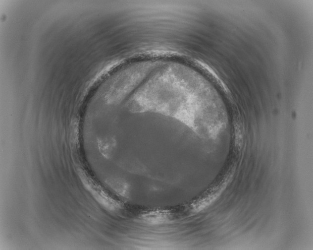 X0000087630447200705311333