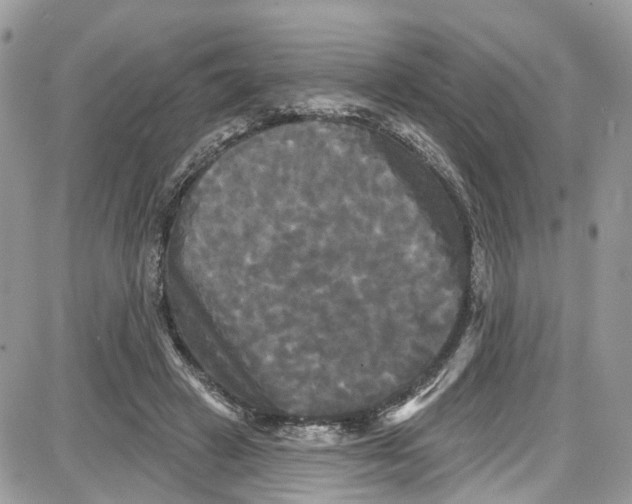 X0000087630449200705311333