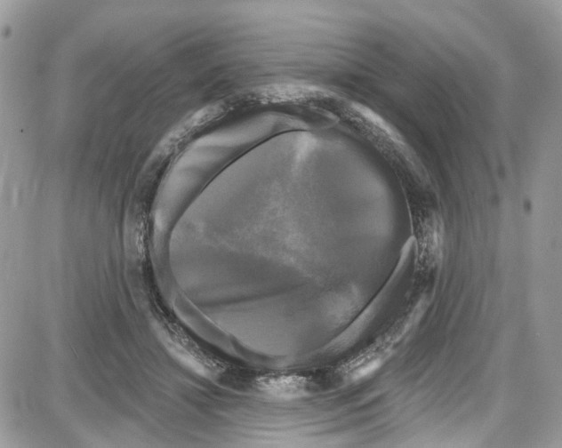 X0000087630452200705311333