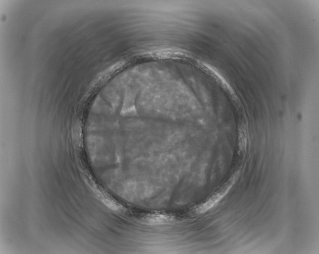 X0000087630453200705311333