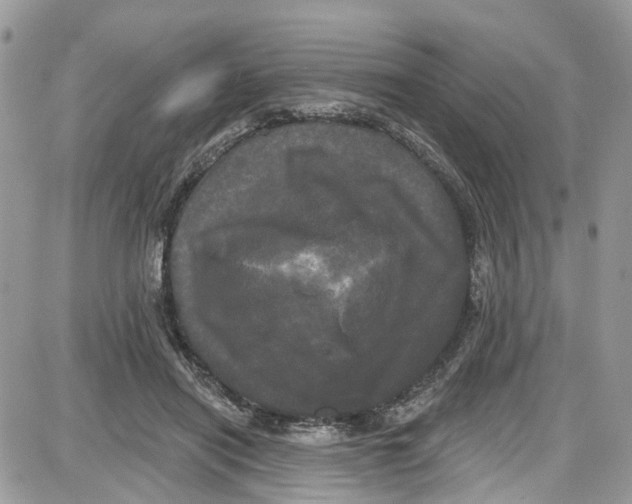 X0000087630454200705311333