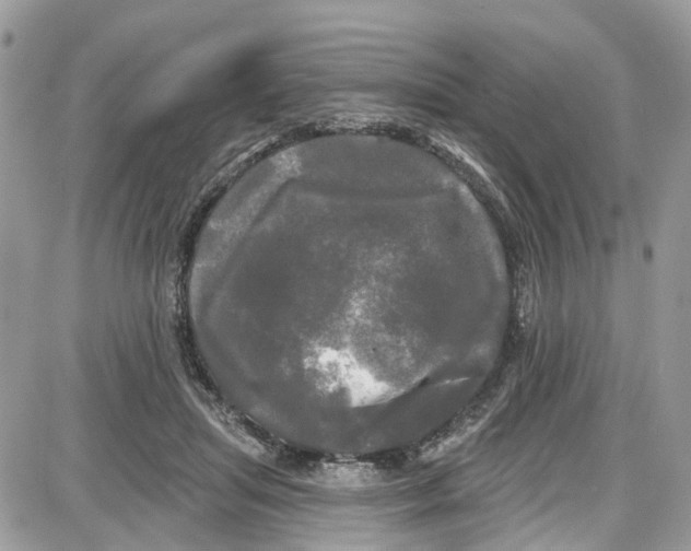 X0000087630455200705311333