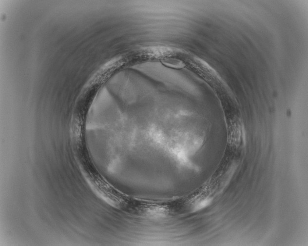 X0000087630456200705311333