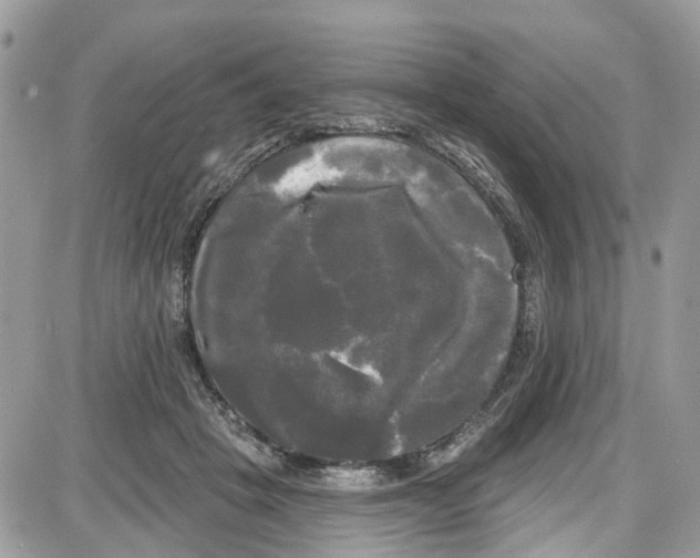 X0000087630457200705311333