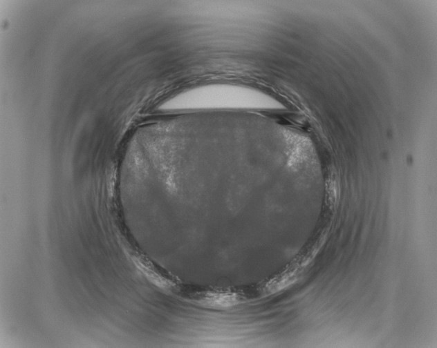 X0000087630458200705311333