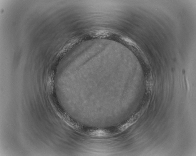 X0000087630460200705311333