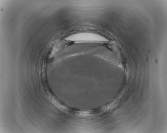 X0000087630462200705311333