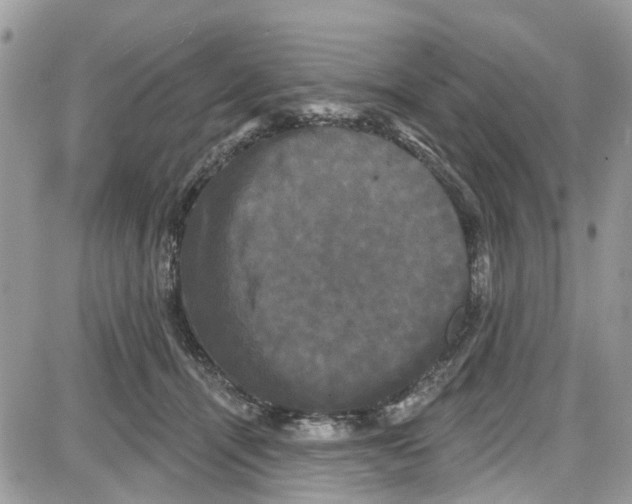 X0000087630464200705311333