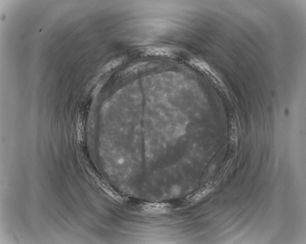 X0000087630465200705311333