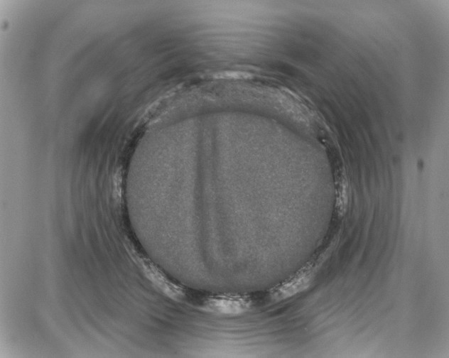 X0000087630466200705311333