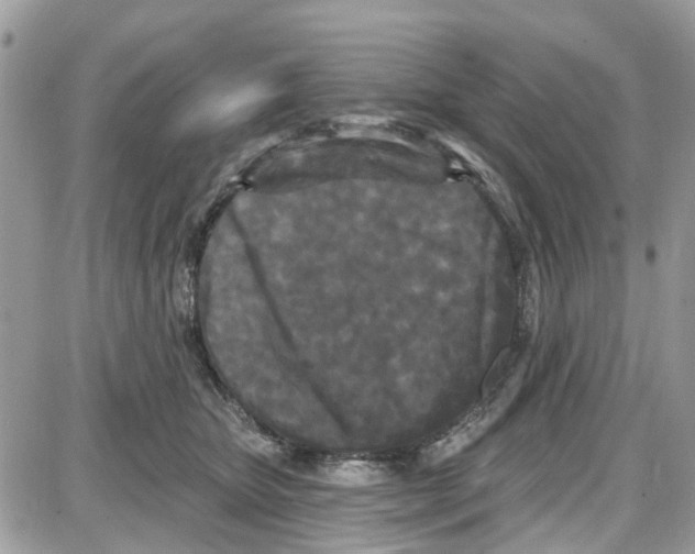 X0000087630467200705311333