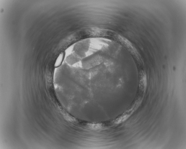 X0000087630469200705311333