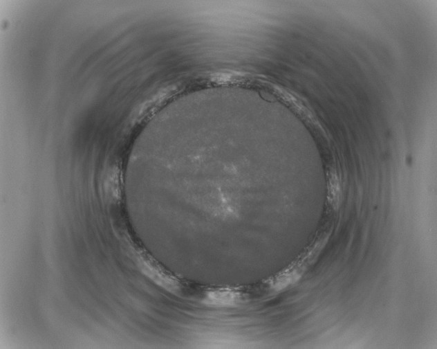 X0000087630470200705311333