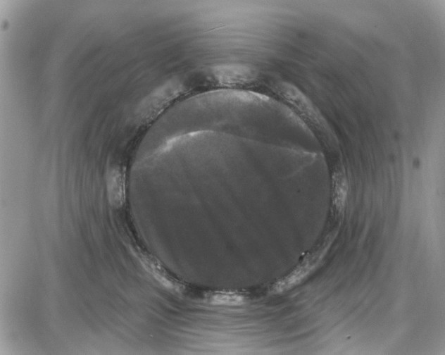 X0000087630471200705311333