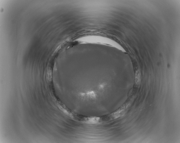 X0000087630474200705311333