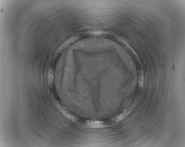 X0000087630476200705311333