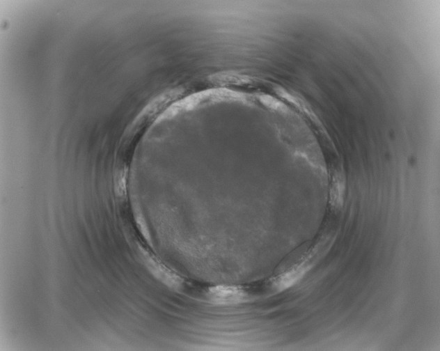 X0000087630477200705311333