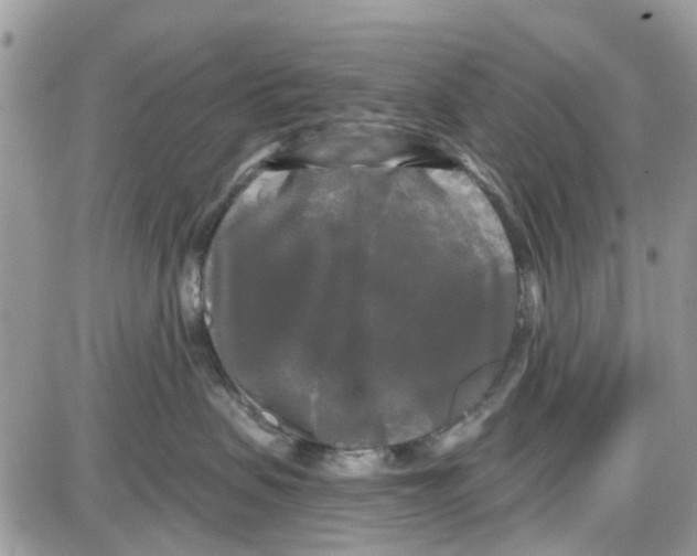 X0000087630479200705311333