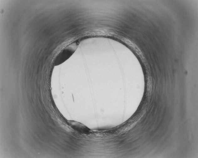 X0000087630481200705311332