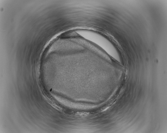 X0000087630484200705311332