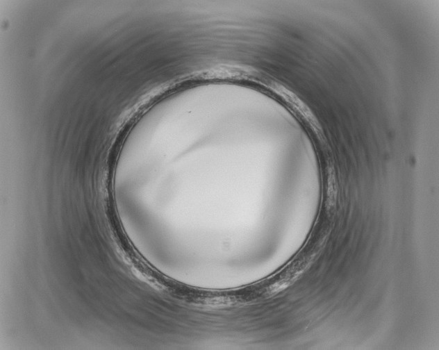 X0000087630485200705311332