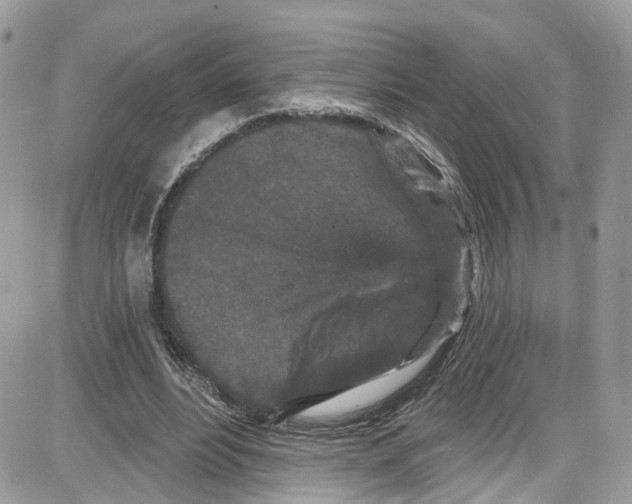 X0000087630488200705311332