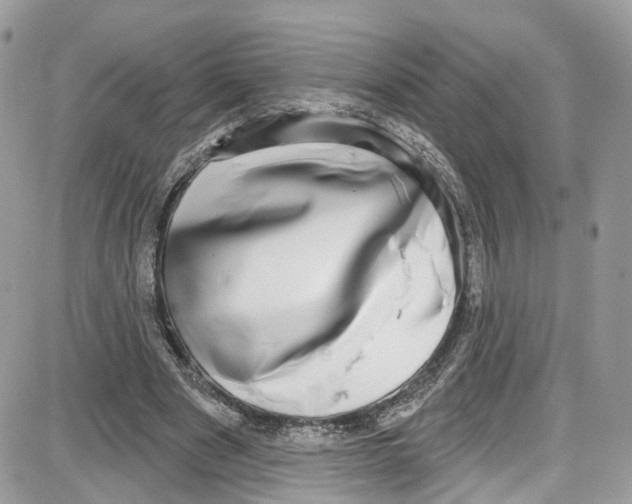 X0000087630489200705311332