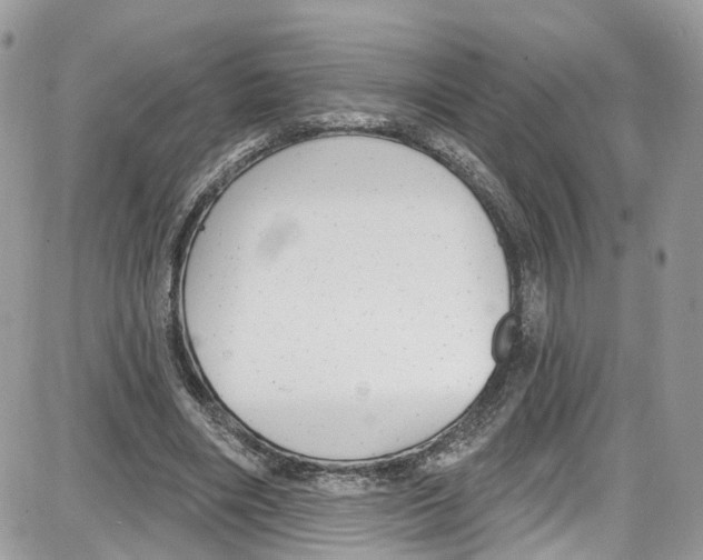 X0000087630490200705311332